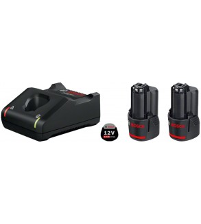 1600A019R8,Set 2x Batterie 12V 2.0Ah + Caricabatteria