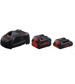 1600A0214A,Set 2 batteria 18V 4.0Ah + 5.5 Ah + Caricabatteria