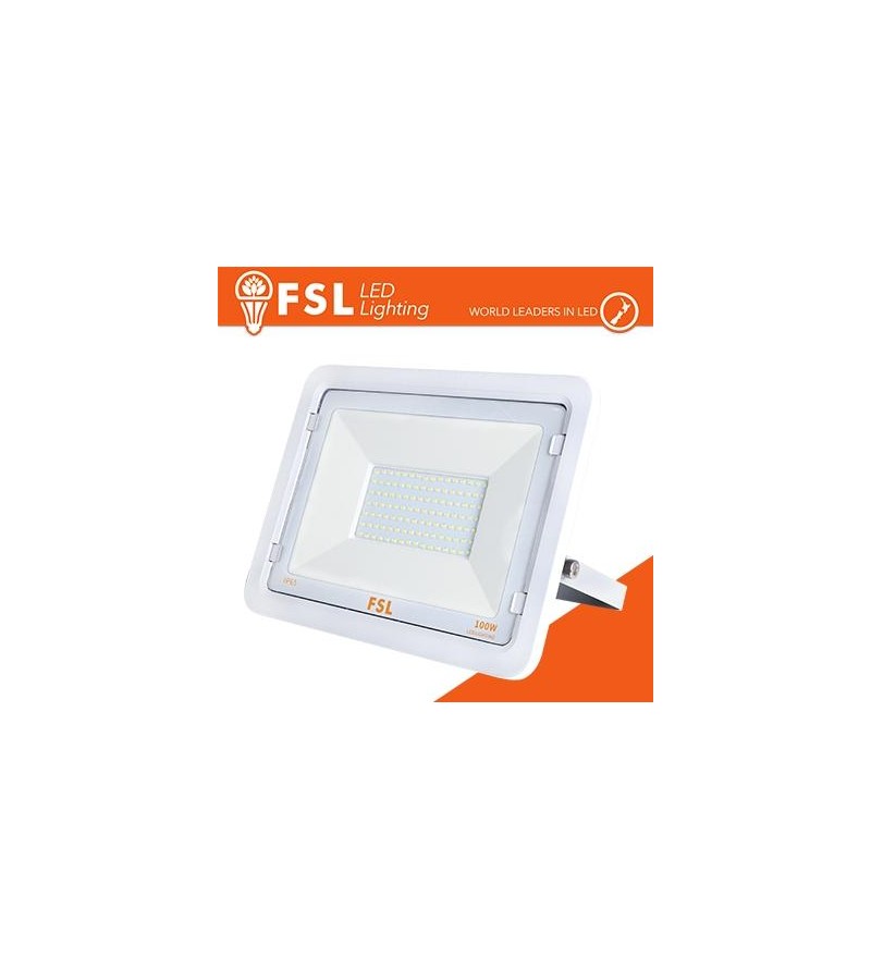 Proiettore per esterni Bianco 100W - IP65 115° 4000K