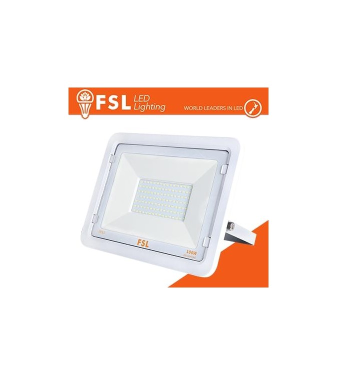 Proiettore per esterni Bianco 100W - IP65 115° 4000K