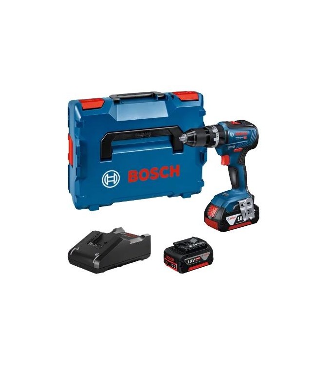 06019H5300,Trapani-avvitatori con percussione,18V+ 2 batterie