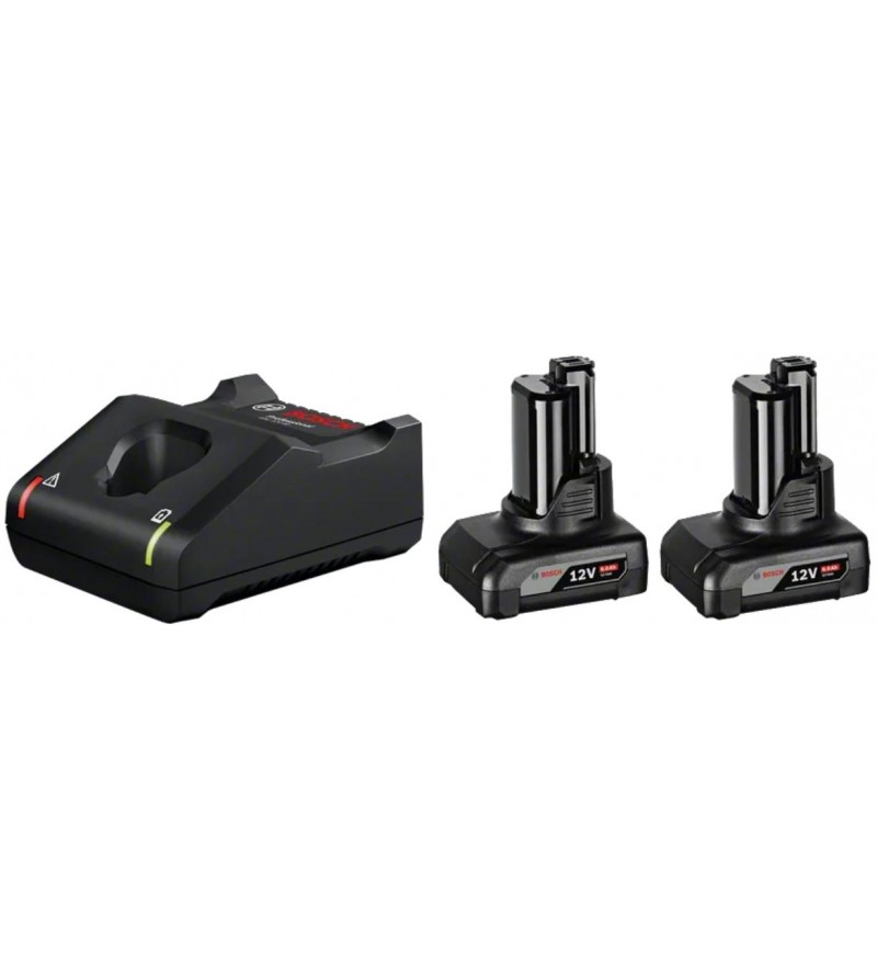 1600A01B20,Kit 2x Batterie 12V 6.0Ah + Caricabatteria