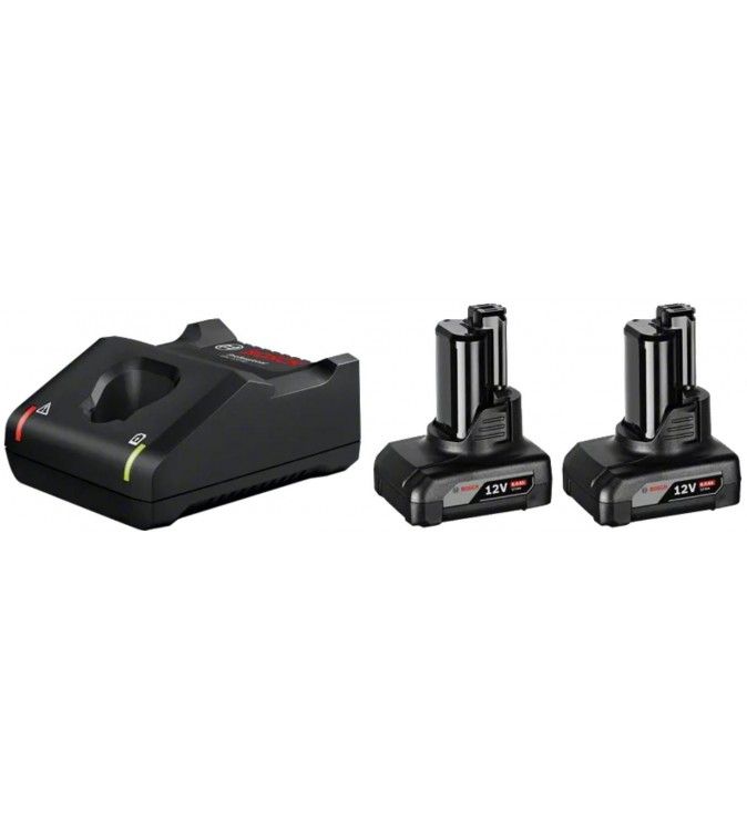 1600A01B20,Kit 2x Batterie 12V 6.0Ah + Caricabatteria