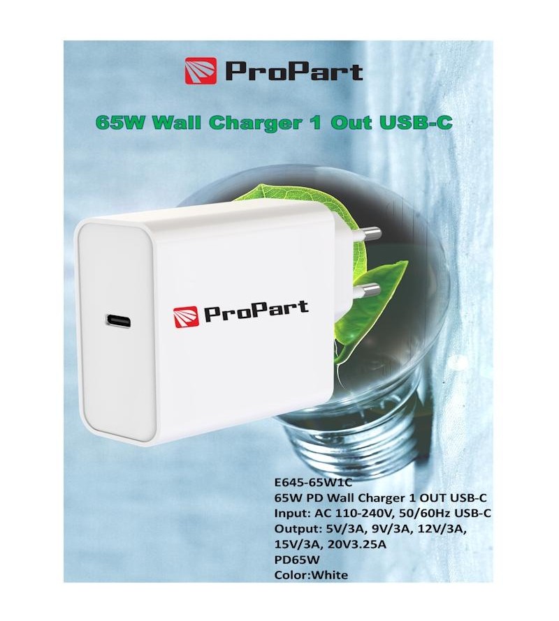 Carica Batterie 65W PD 1 Output USB-C