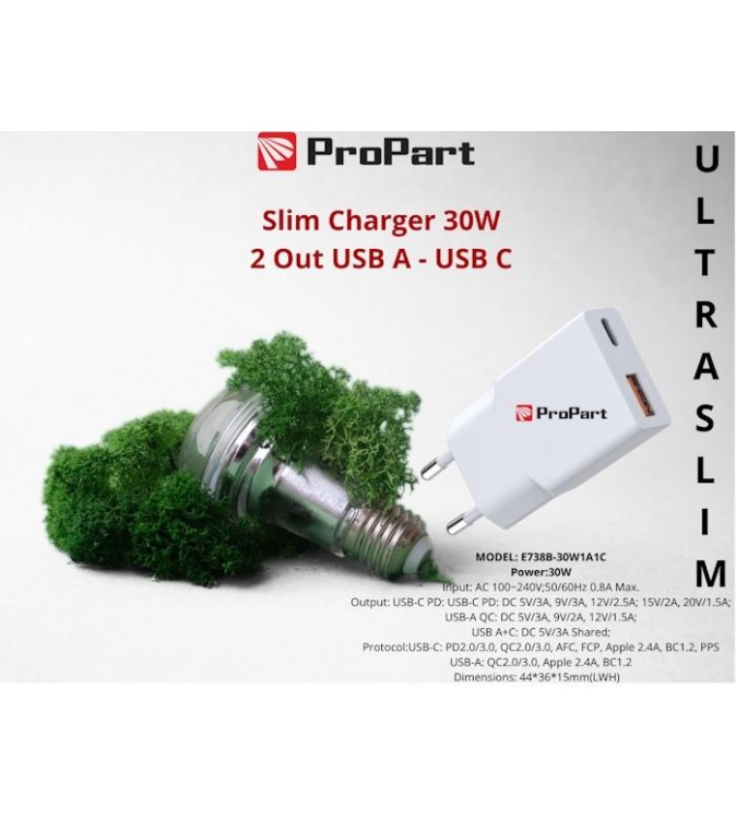 Slim Carica Batterie 30W 2 Out USB A - USB C