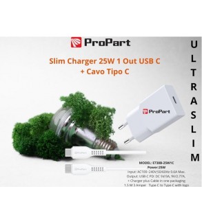 Slim Carica Batterie + Cavo Tipo C 25W 1 Out USB C