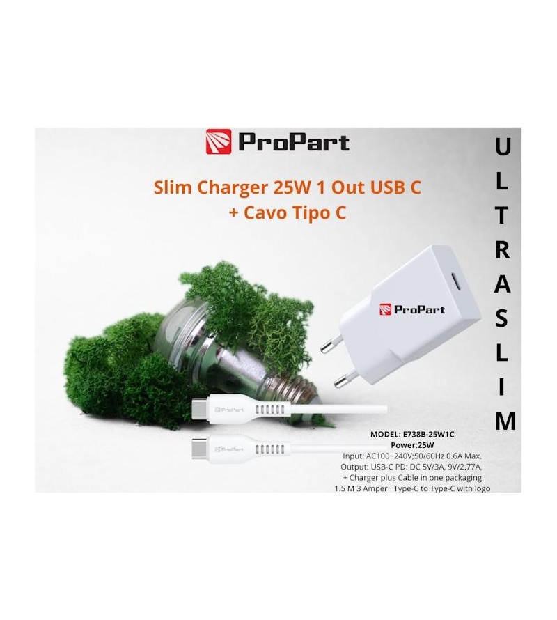 Slim Carica Batterie + Cavo Tipo C 25W 1 Out USB C