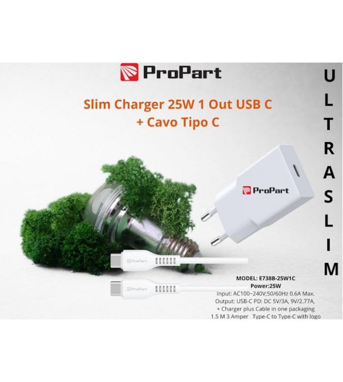 Slim Carica Batterie + Cavo Tipo C 25W 1 Out USB C