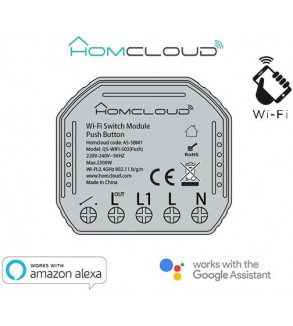 Modulo Pulsante&Interruttore 1CH Wi-Fi da incasso