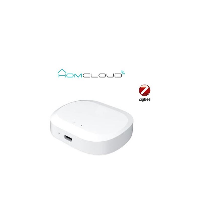 Centralina intelligente Hub Termovalvole - Zigbee+Bluetooth