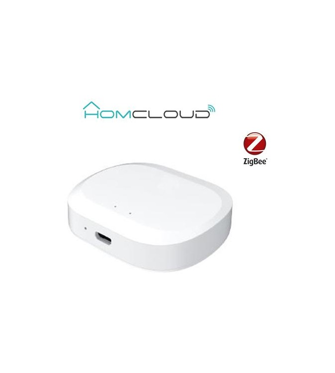 Centralina intelligente Hub Termovalvole - Zigbee+Bluetooth