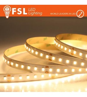 Striscia LED 5m IP20 2835 24V - 12W/m 120led/m 6500K