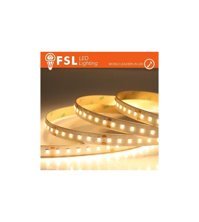 Striscia LED 5m IP20 2835 24V - 12W/m 120led/m 6500K
