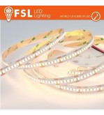 Striscia LED 5m IP20 2835 24V - 20W/m 240led/m 6500K