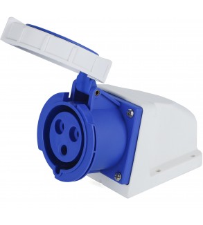 Presa a muro Indust. CEE 16A-6h 2P+T 220-250V IP67