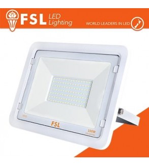 Proiettore per esterni Bianco 100W - IP65 115° 4000K