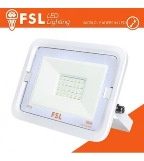 Proiettore per esterni Bianco 30W - IP65 115° 4000K