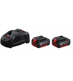 1600A00B8J,Set 2 batterie 18V 5.0Ah + Caricabatteria  
