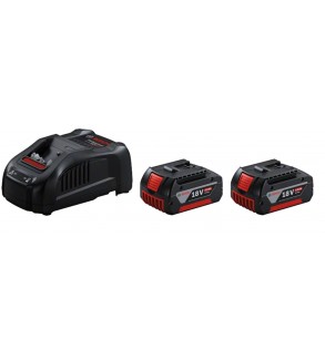 1600A00B8J,Set 2 batterie 18V 5.0Ah + Caricabatteria  