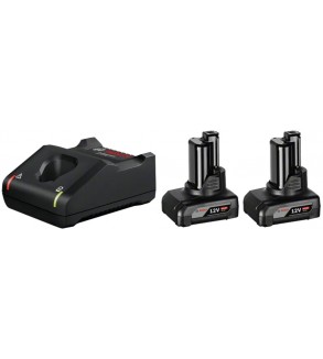 1600A01B20,Kit 2x Batterie 12V 6.0Ah + Caricabatteria