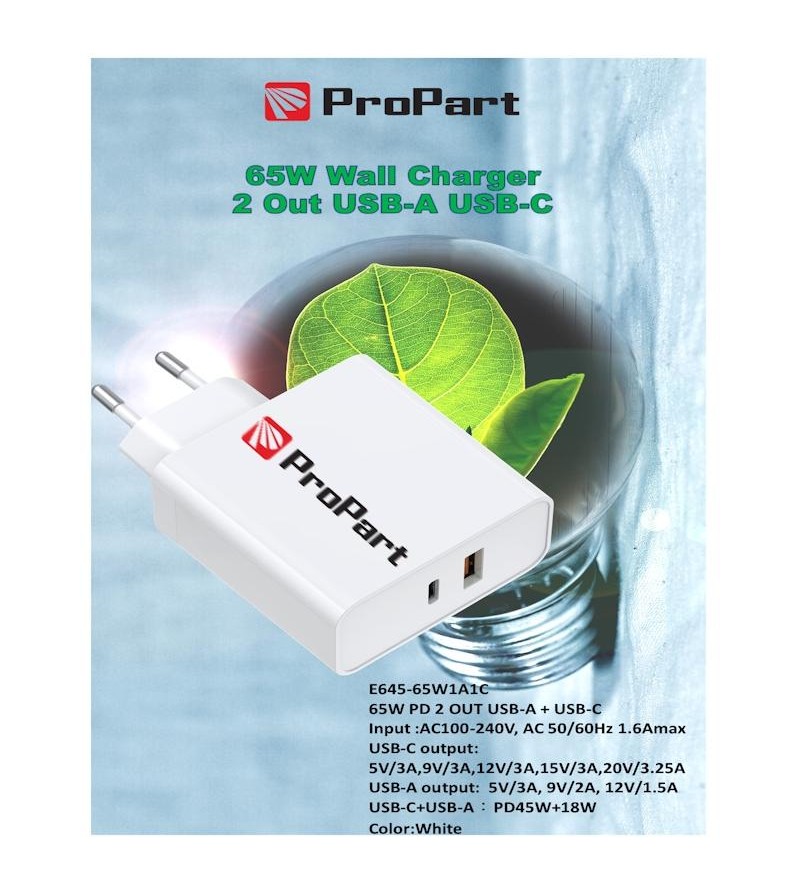 Carica Batterie 65W 2 Output USB-A + USB-C
