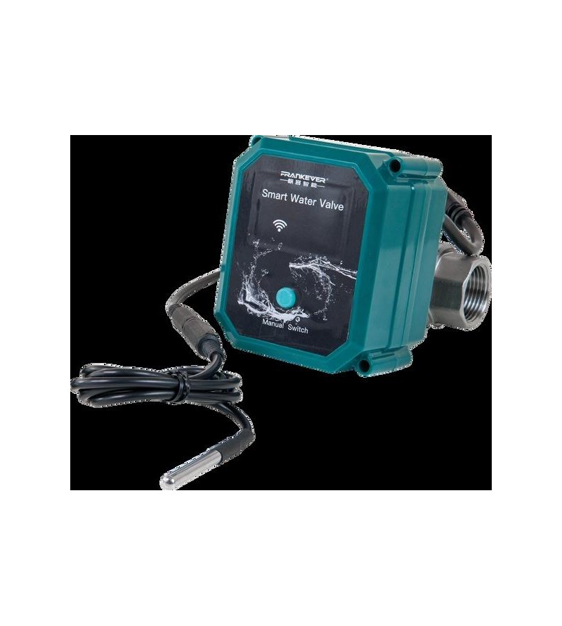 Shelly FrankEver Valvola intelligente per acqua DN25
