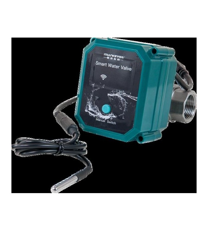 Shelly FrankEver Valvola intelligente per acqua DN25