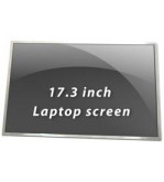 17.3 N173FGE-L23 WSVGA DISPLAY LED GLOSSY